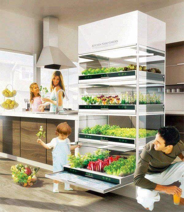 Inspiring Hydroponic Gardening Ideas