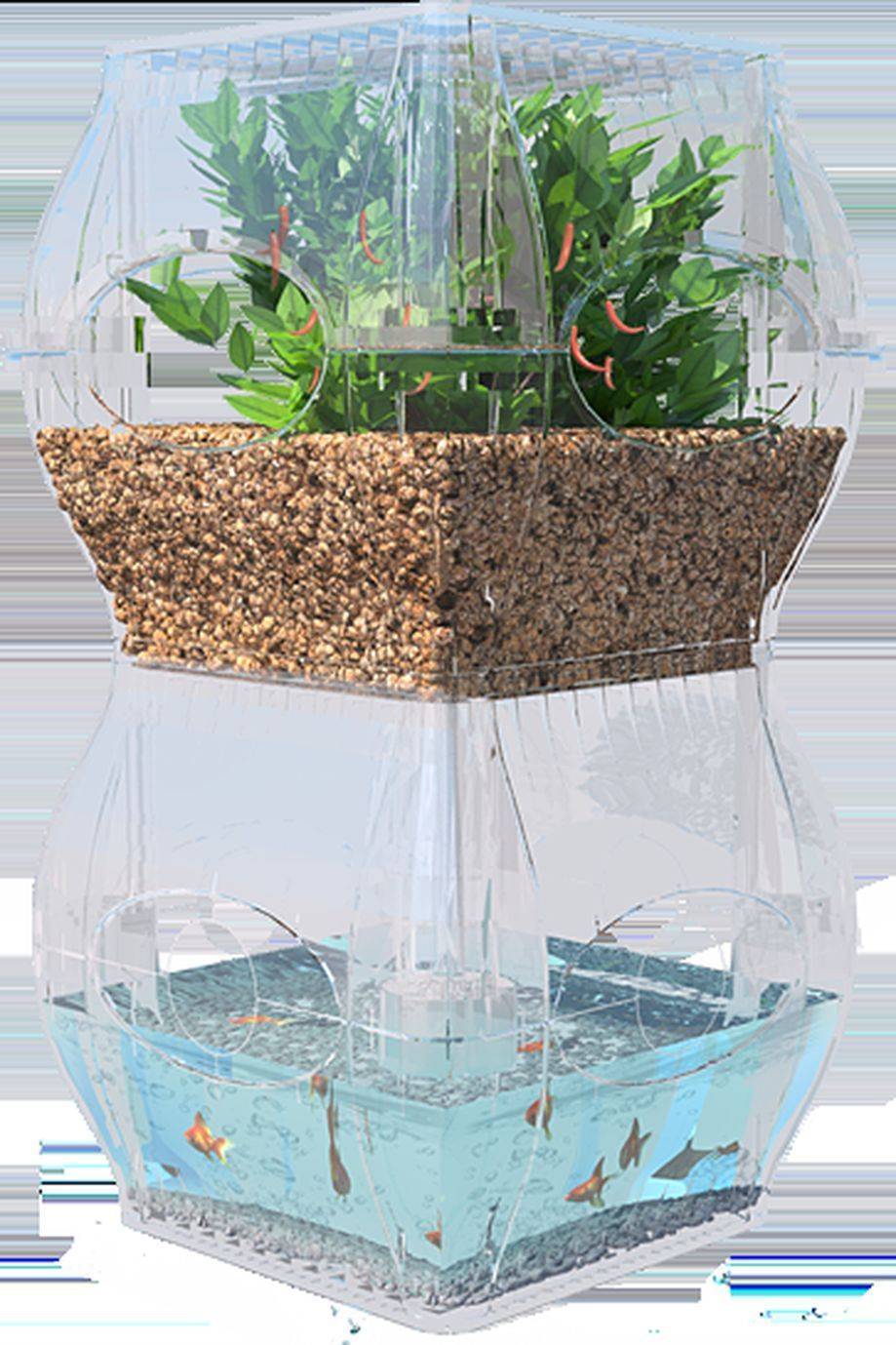 Hydroponic Gardening Aerogarden Bounty
