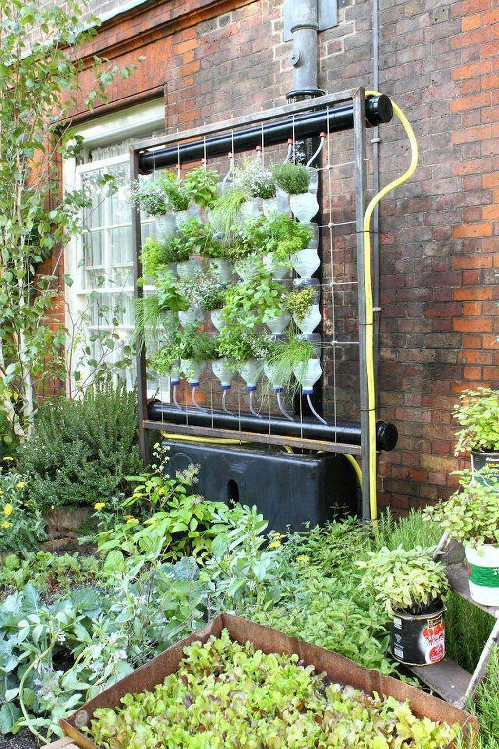 Simple Hydroponic Garden Ideas