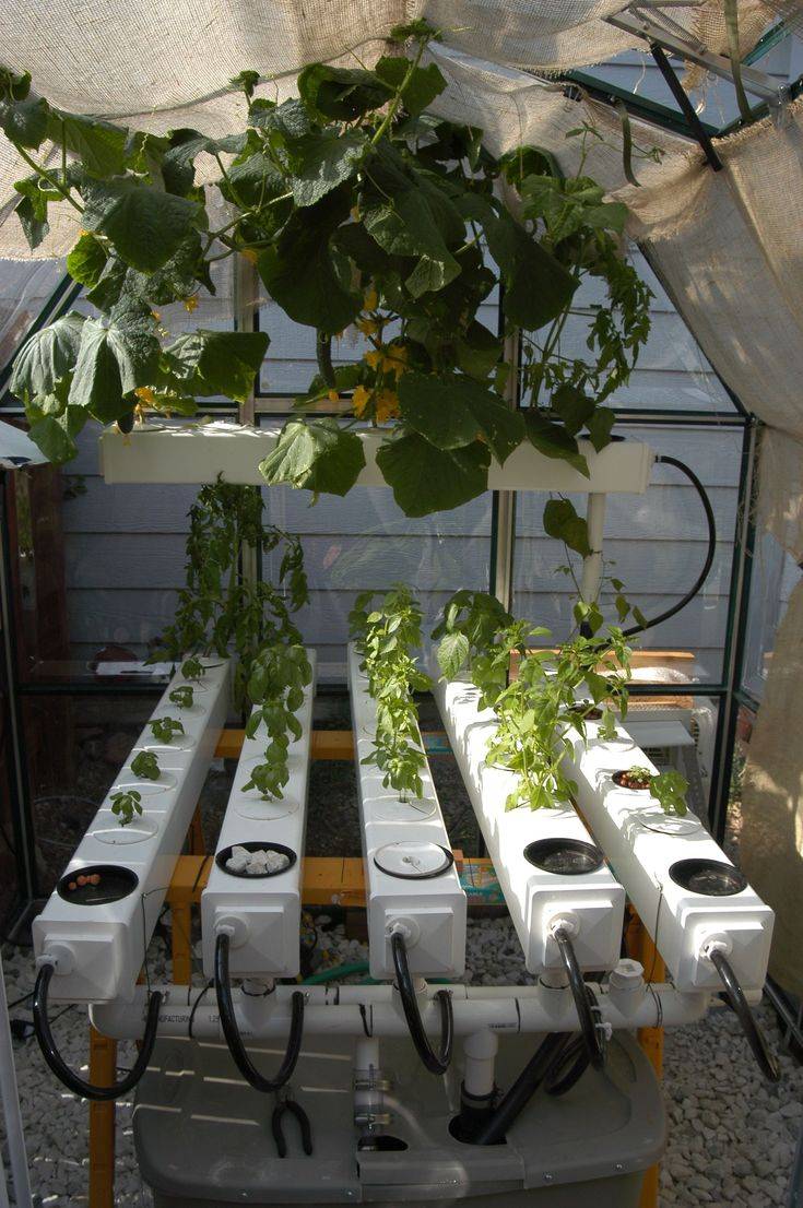 Vertical Hydroponics Gardening Ideas