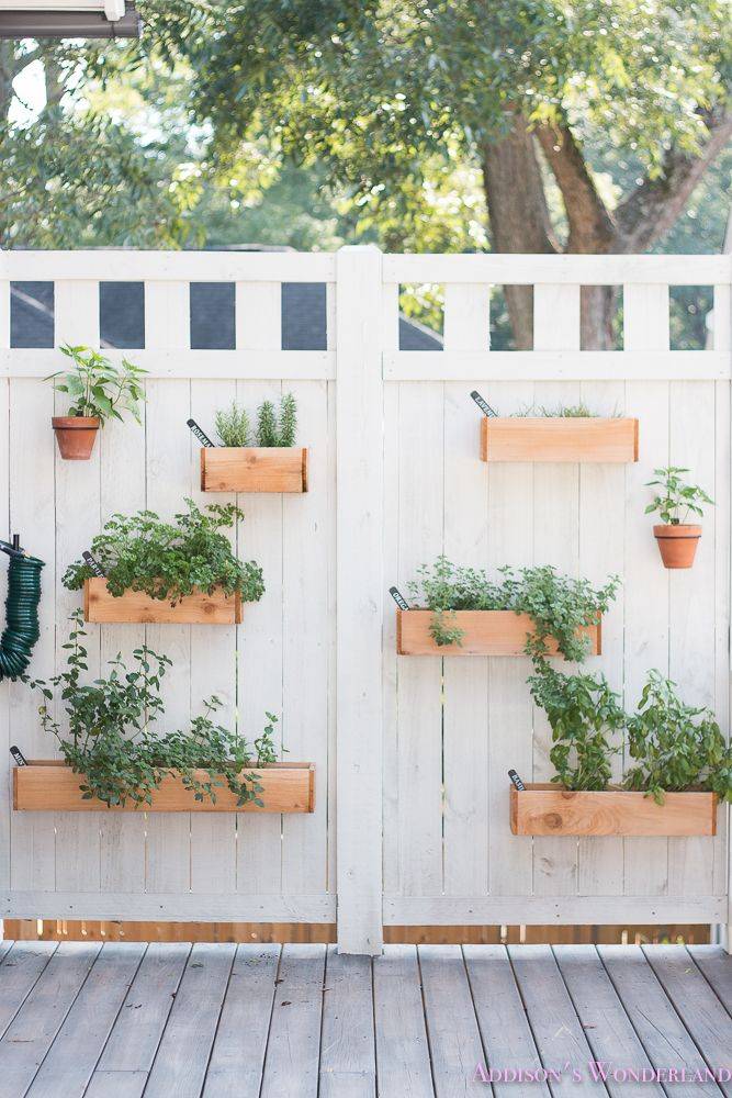 Impressive Diy Herb Wall Ideas