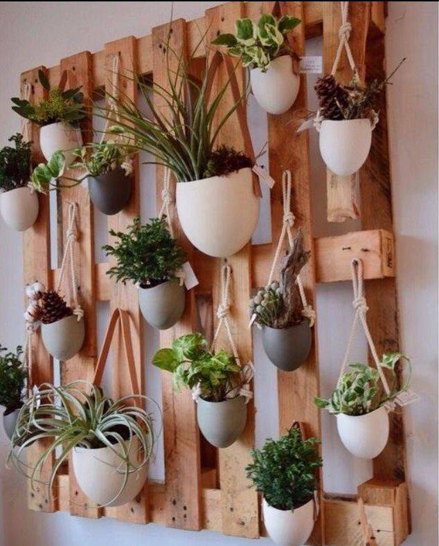 Wall Herb Garden