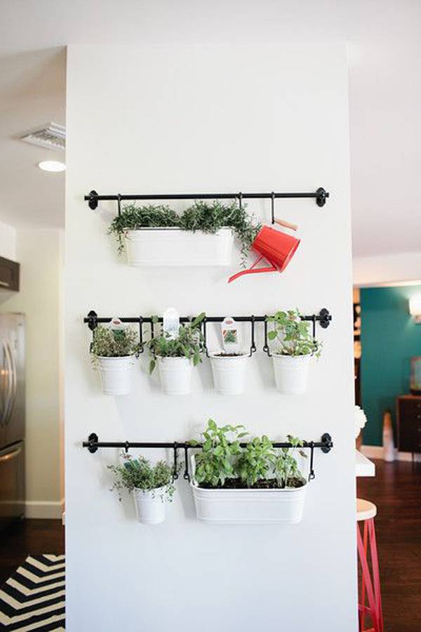 Wall Herb Garden