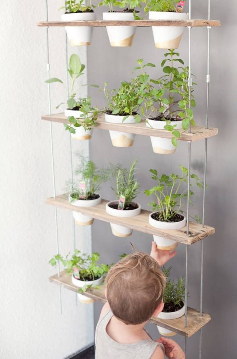 Stunning Indoor Wall Herb Garden Ideas Page
