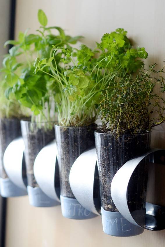 Stunning Indoor Wall Herb Garden Ideas