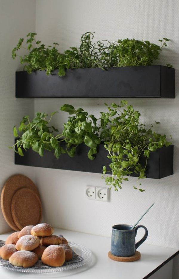 Diyhangingherbgardenwall