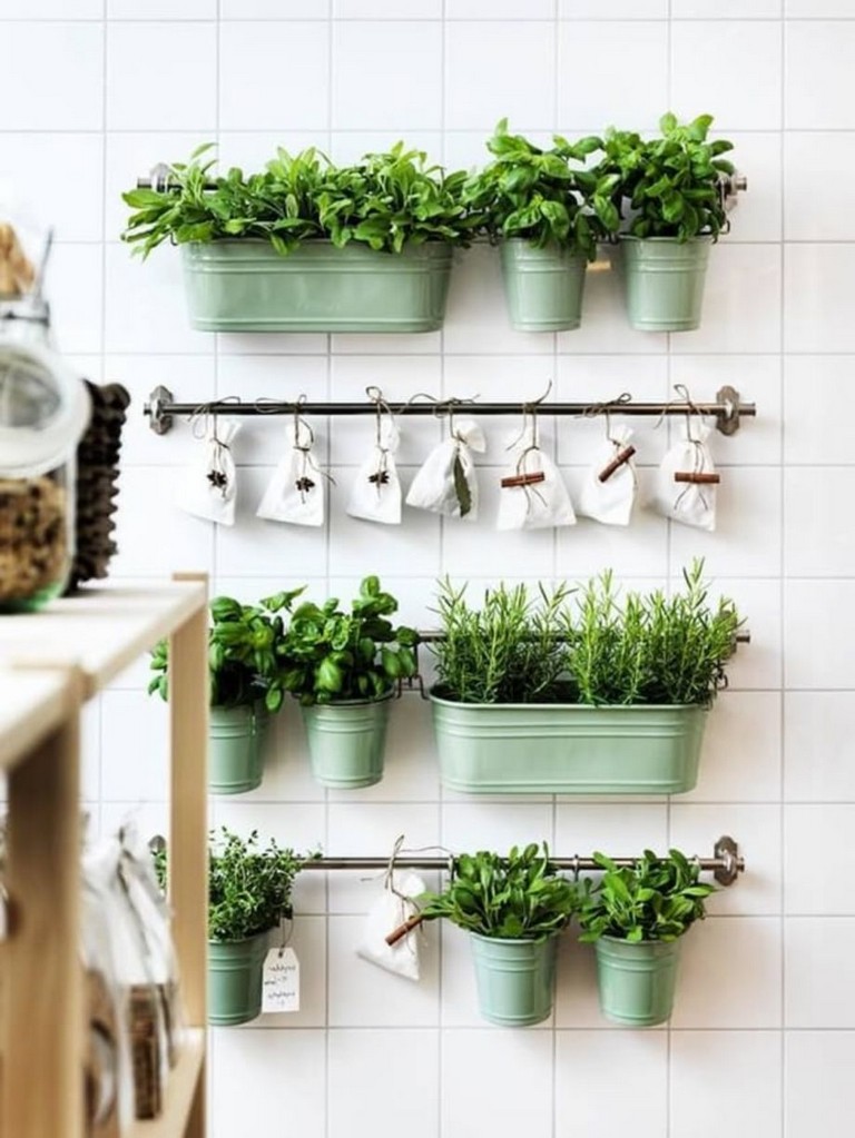 Indoor Hydroponic Wall Garden