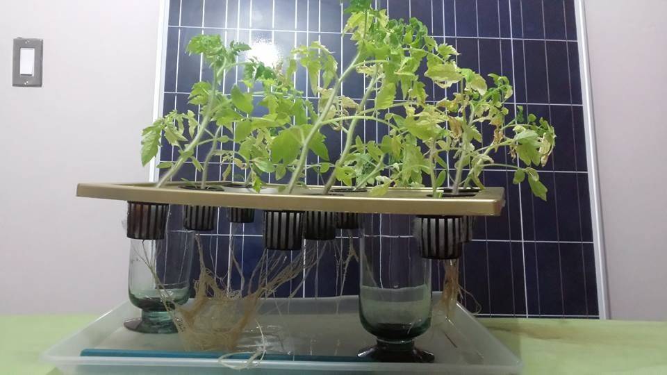 Aquaponics Systems
