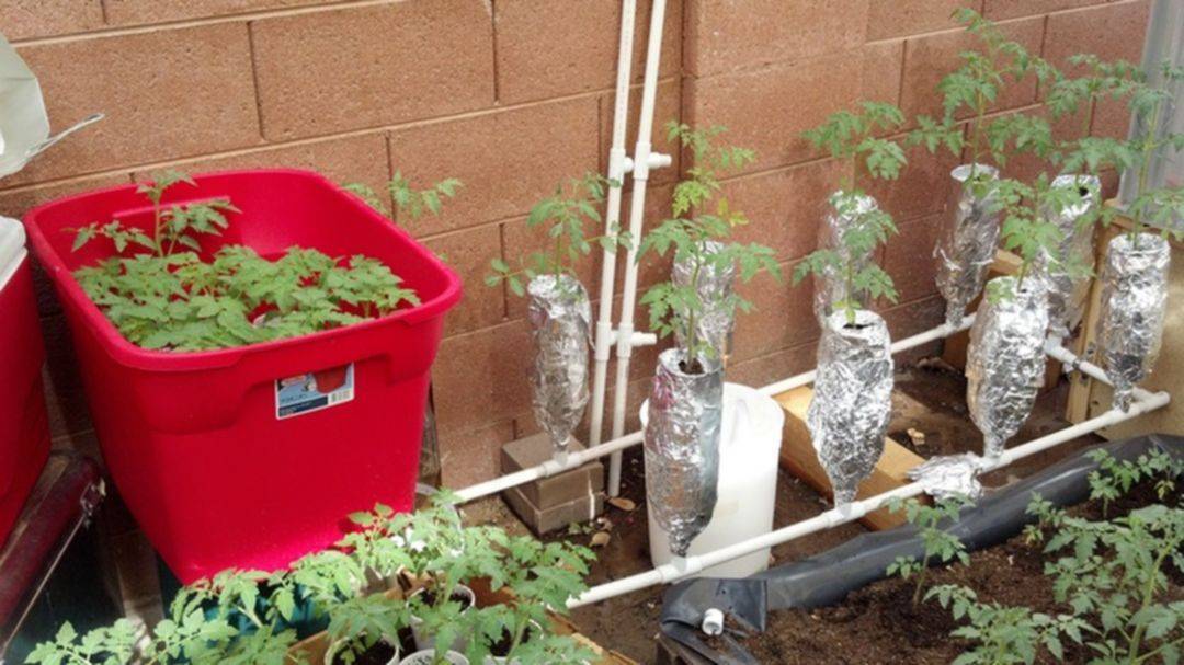 25 DIY Floating Hydroponic Garden Ideas Worth to Check SharonSable