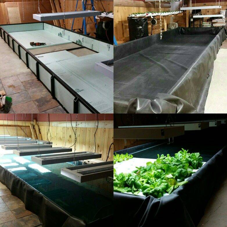 Diy Hydroponic Garden