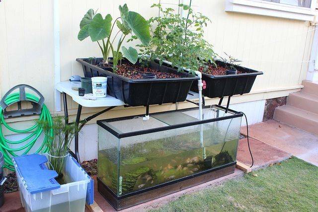 Cool Incredible Hydroponic Garden At Backyard Httpsgardenmagzcom
