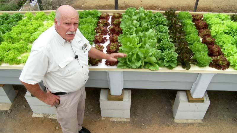 Hydroponic Gardening Aerogarden Bounty