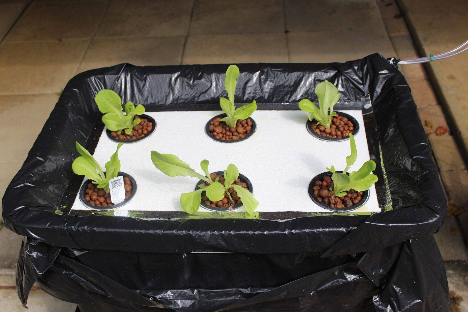 Nice Incredible Hydroponic Garden