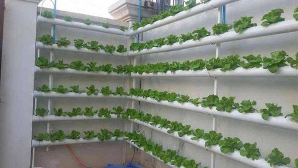 Inspiring Vertical Garden Ideas
