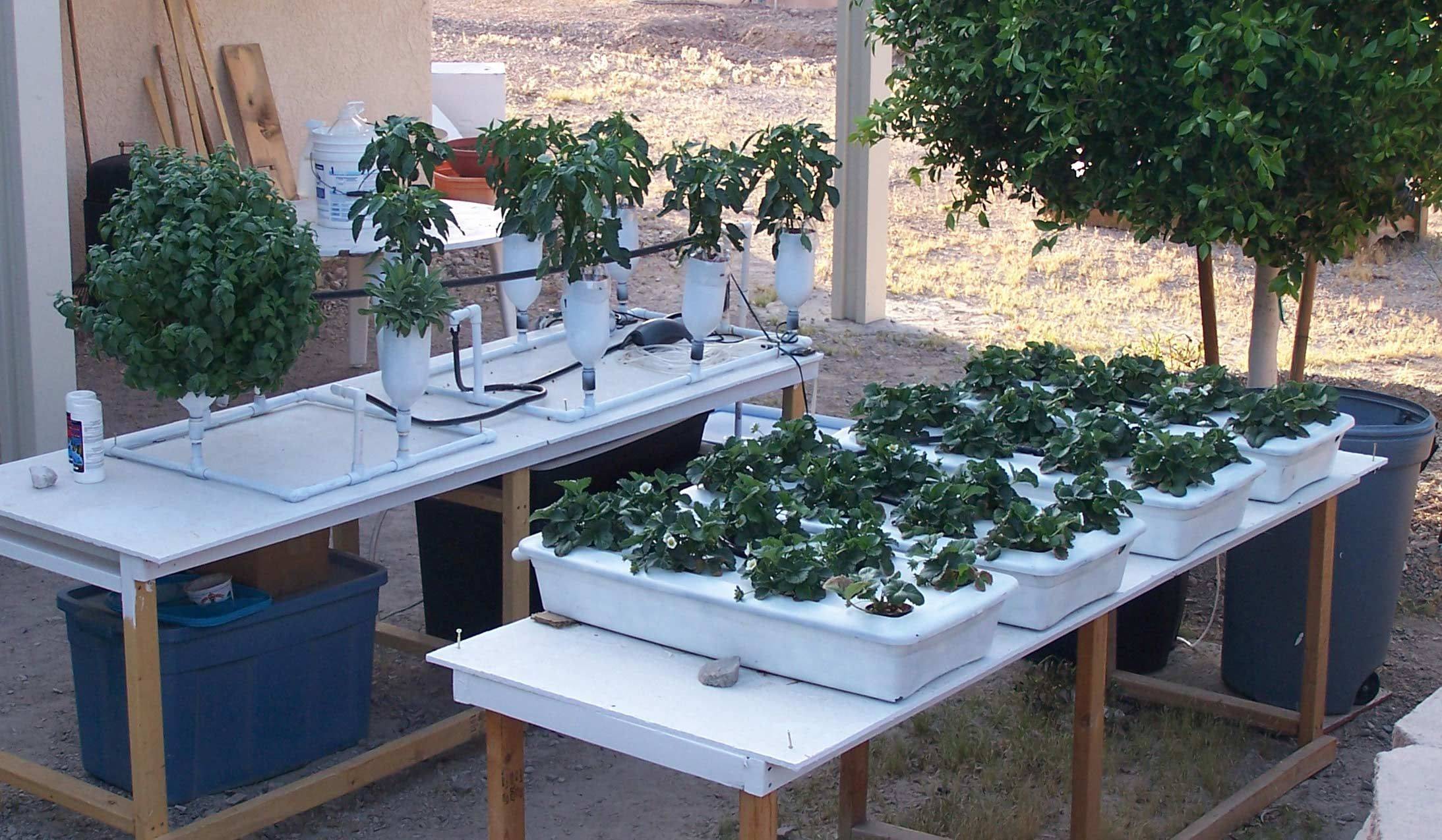 Diy Home Hydroponic Gardening Ideas