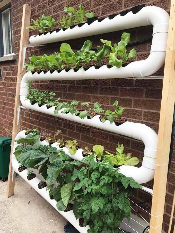 Handsome Aquaponics System Aquaponics Diy