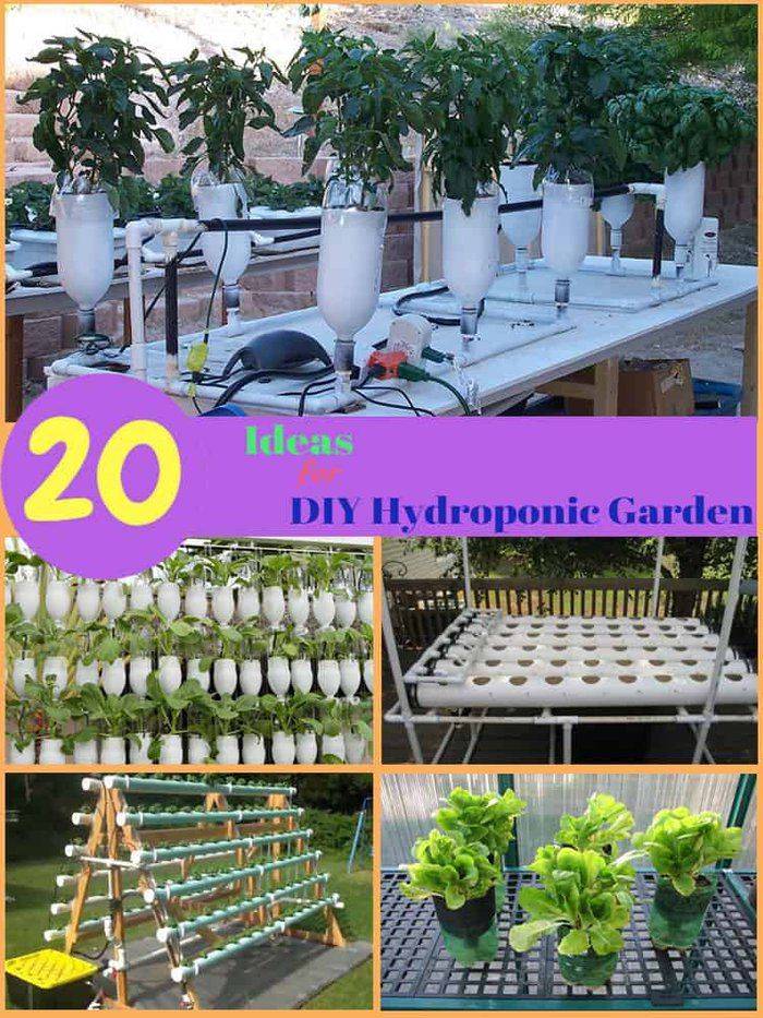 Home Built Hydroponic System