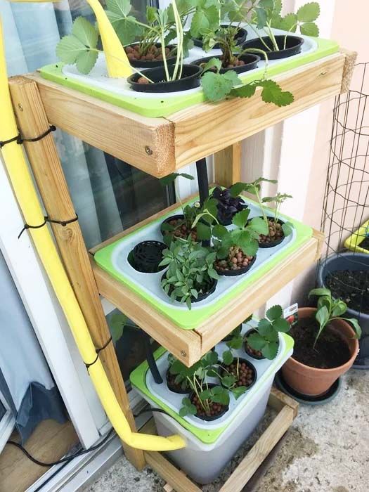 The Modern Residence Organic Garden