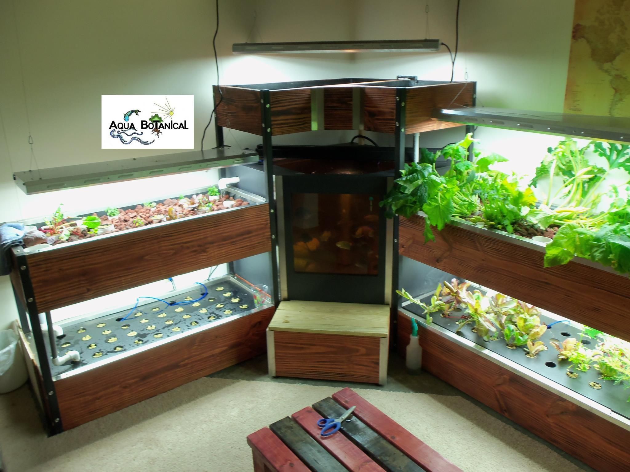 The Modern Residence Organic Garden