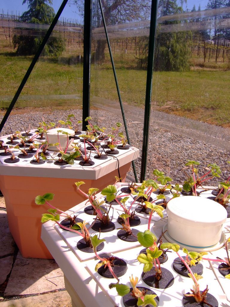 Individualistic Classified Aquaponics