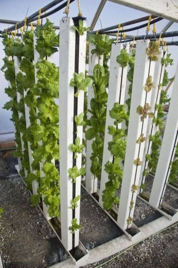 Lovely Indoor Hydroponic Garden Ideas