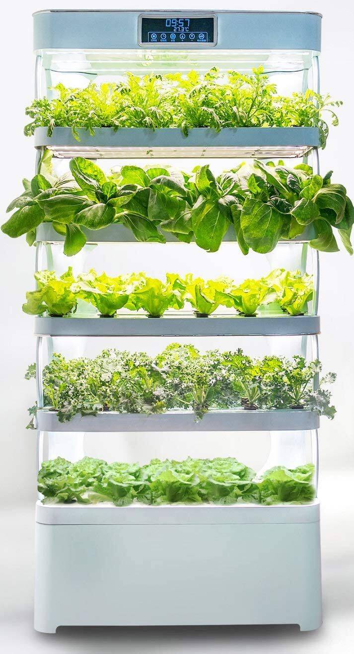 Automated Vertical Hydroponic Vegetable Gardens