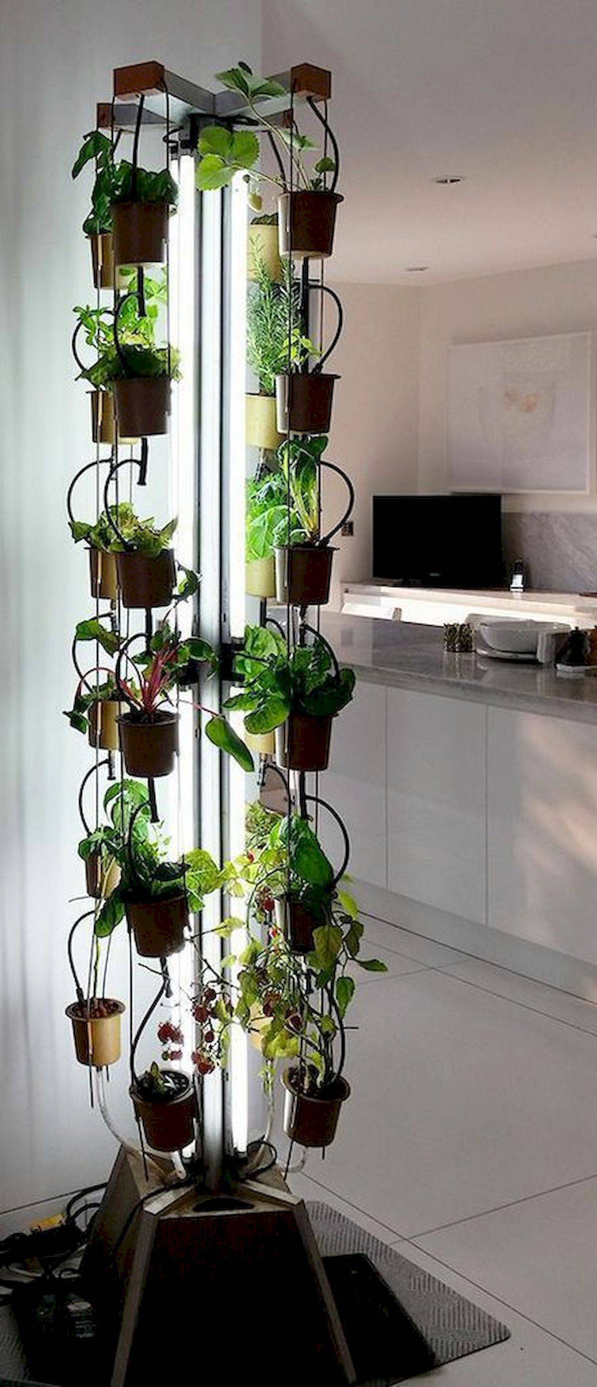 Automated Vertical Hydroponic Vegetable Gardens