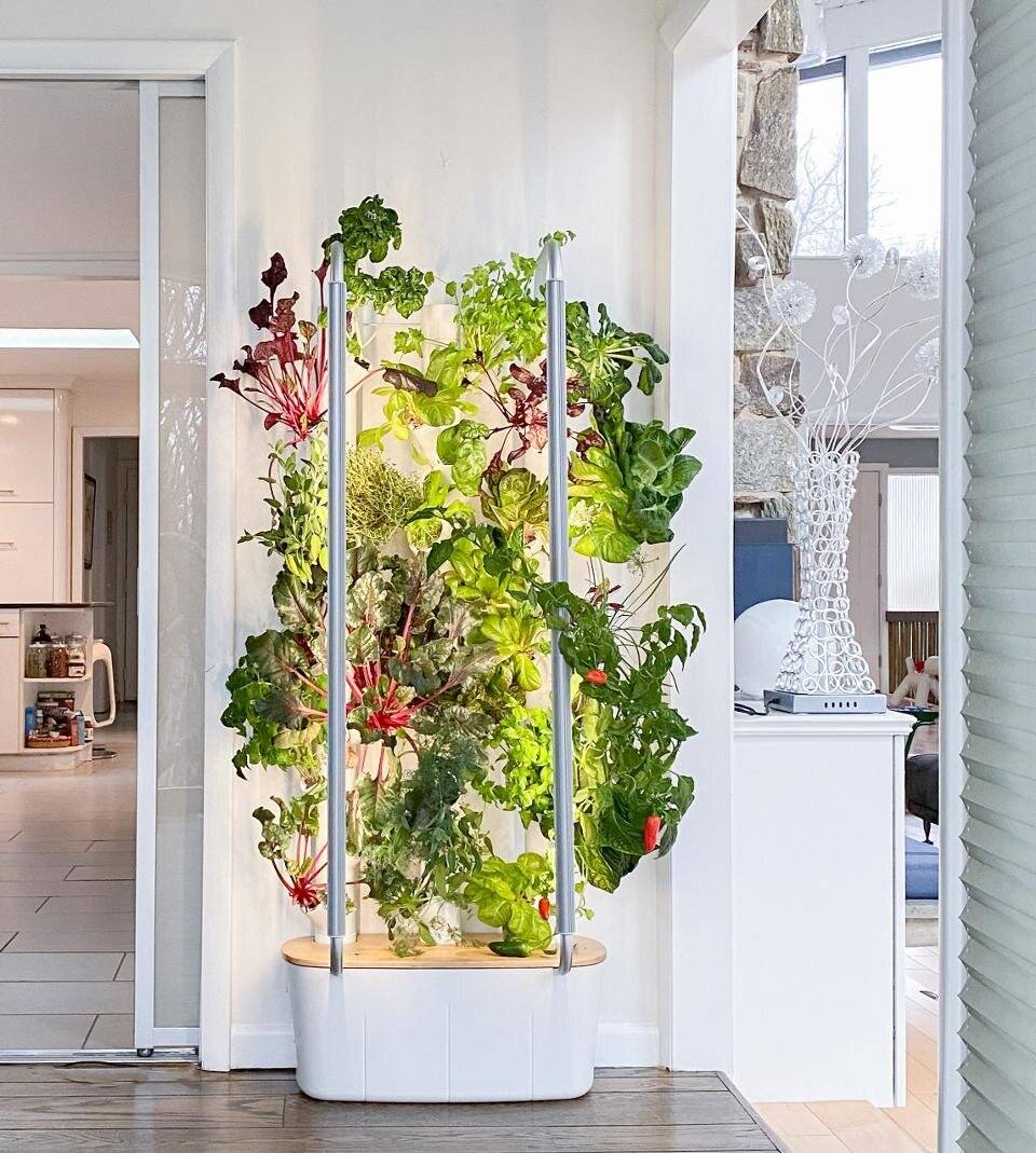My Nft Hydroponic System