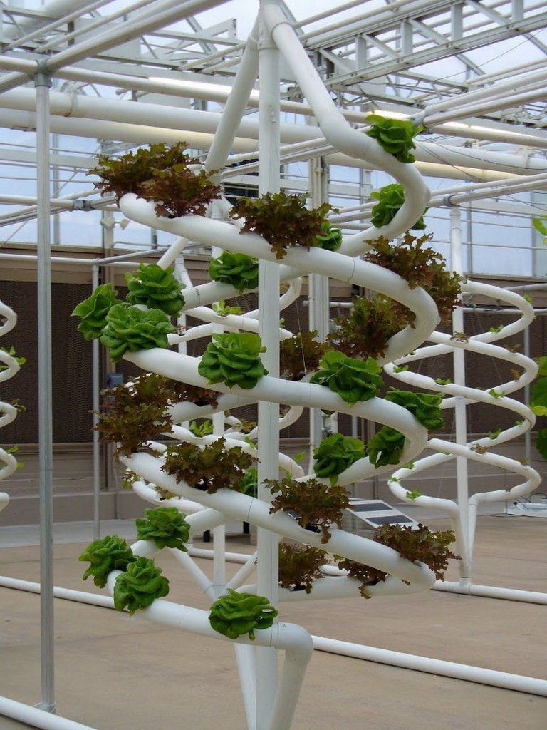 Awesome Indoor Hydroponic Wall Garden Design Ideas Hydroponic