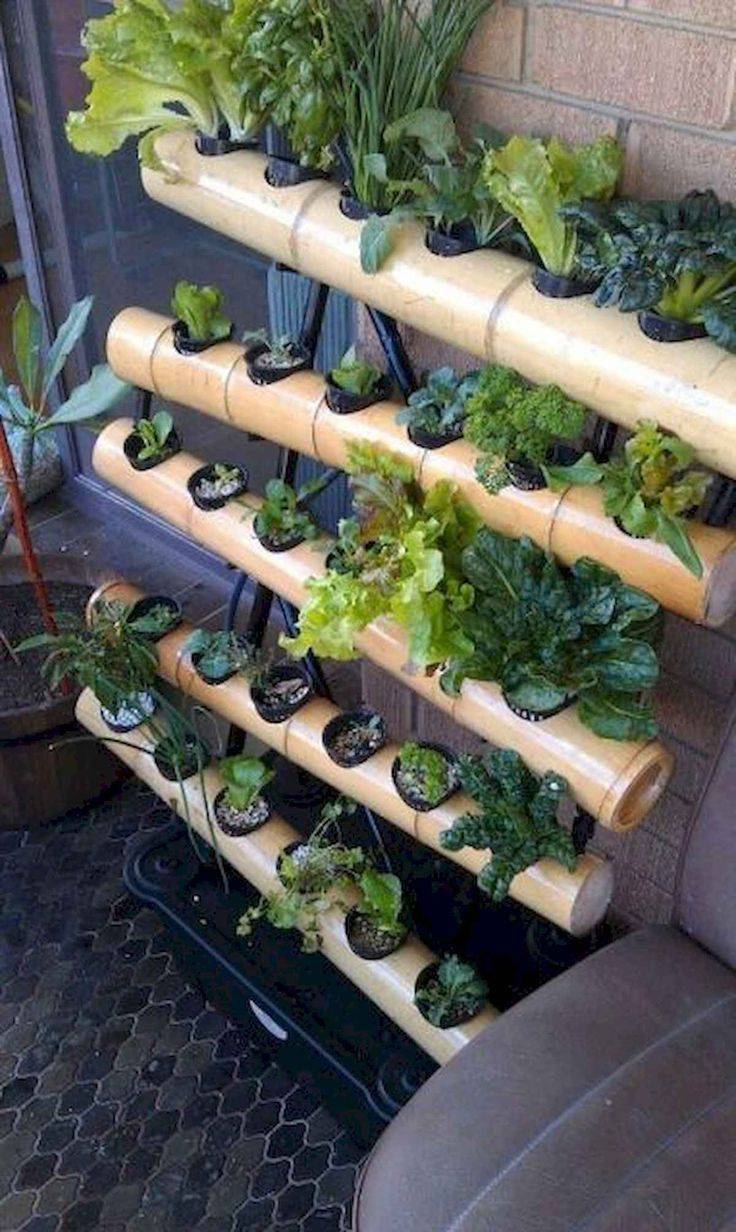 Indoor Gardening An Environment Friendly Thing Ideas
