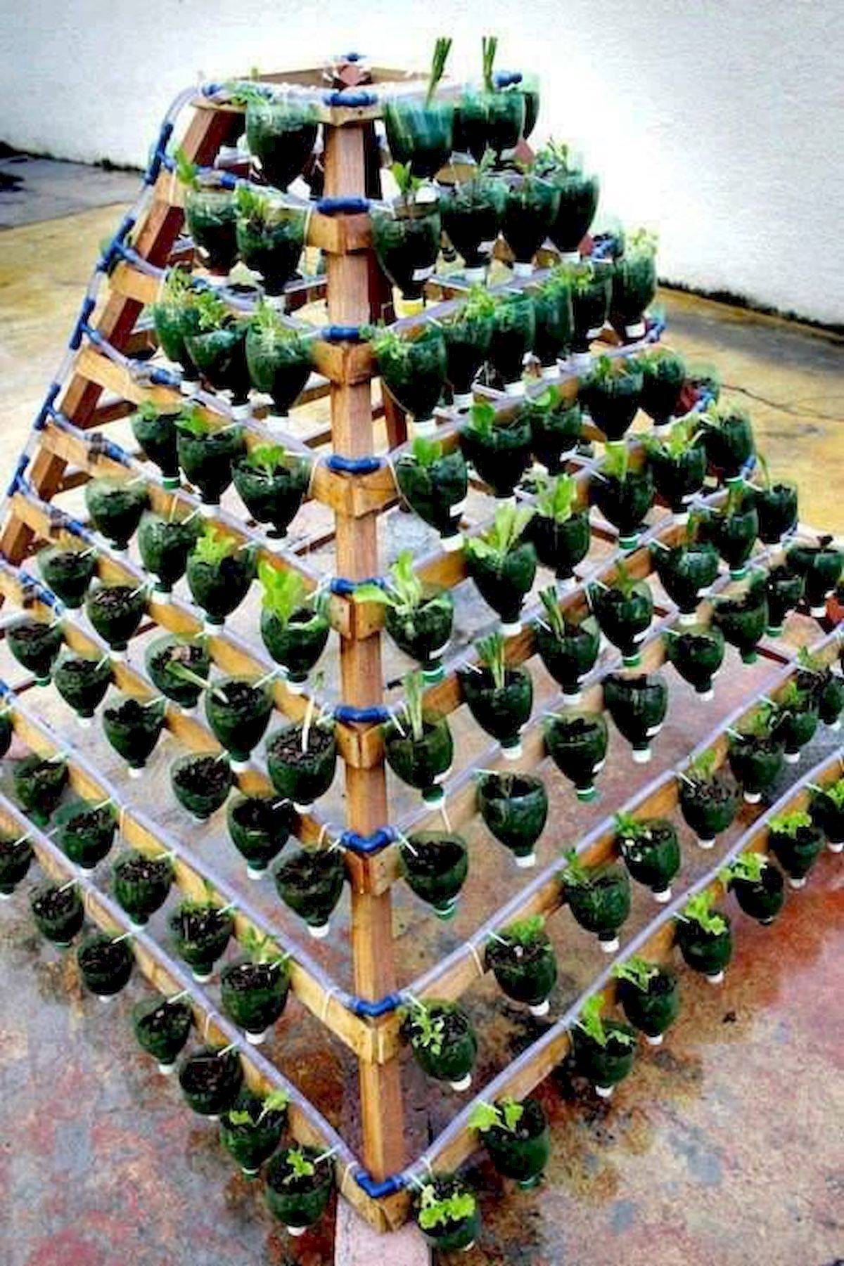 Best Hydroponic Garden Ideas