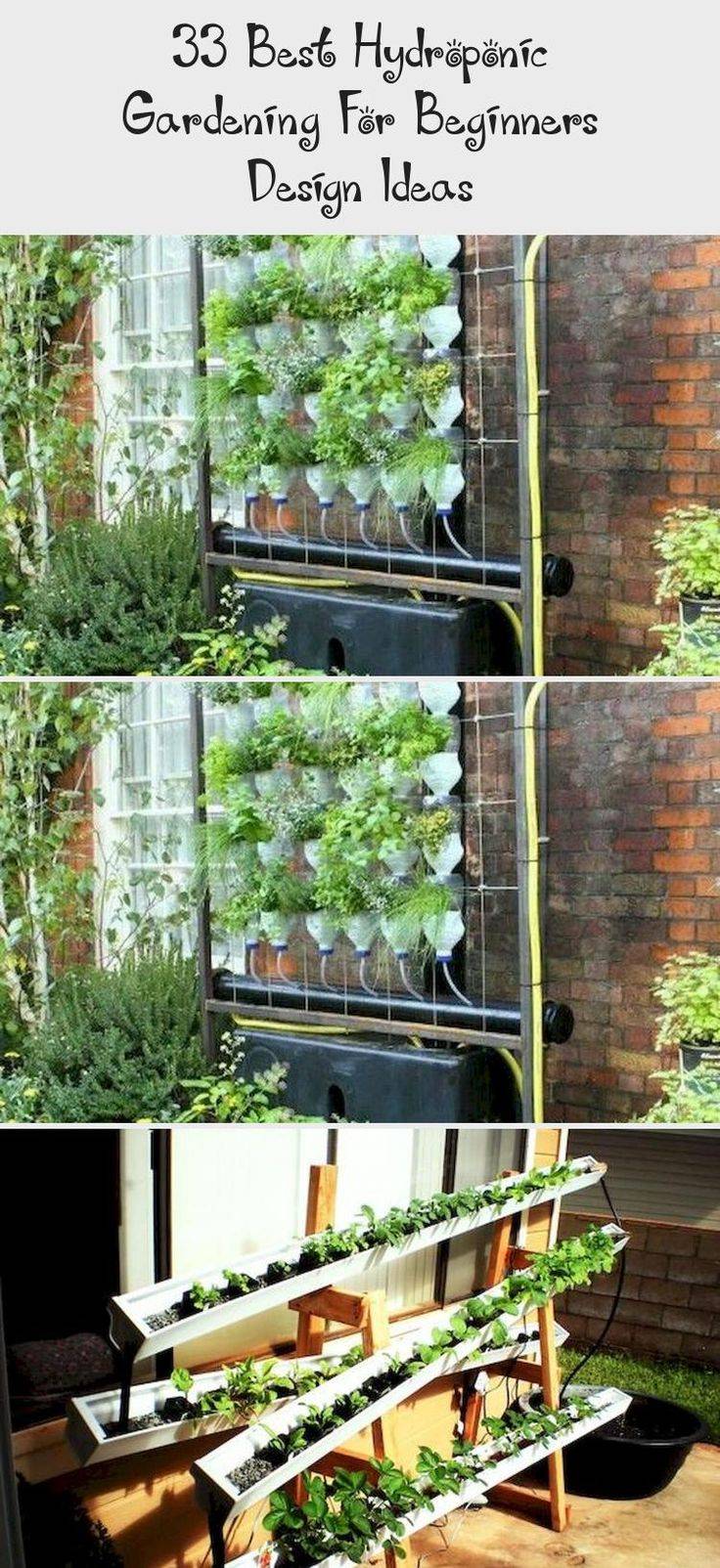 Best Hydroponic Gardening For Beginners Design Ideas Decor