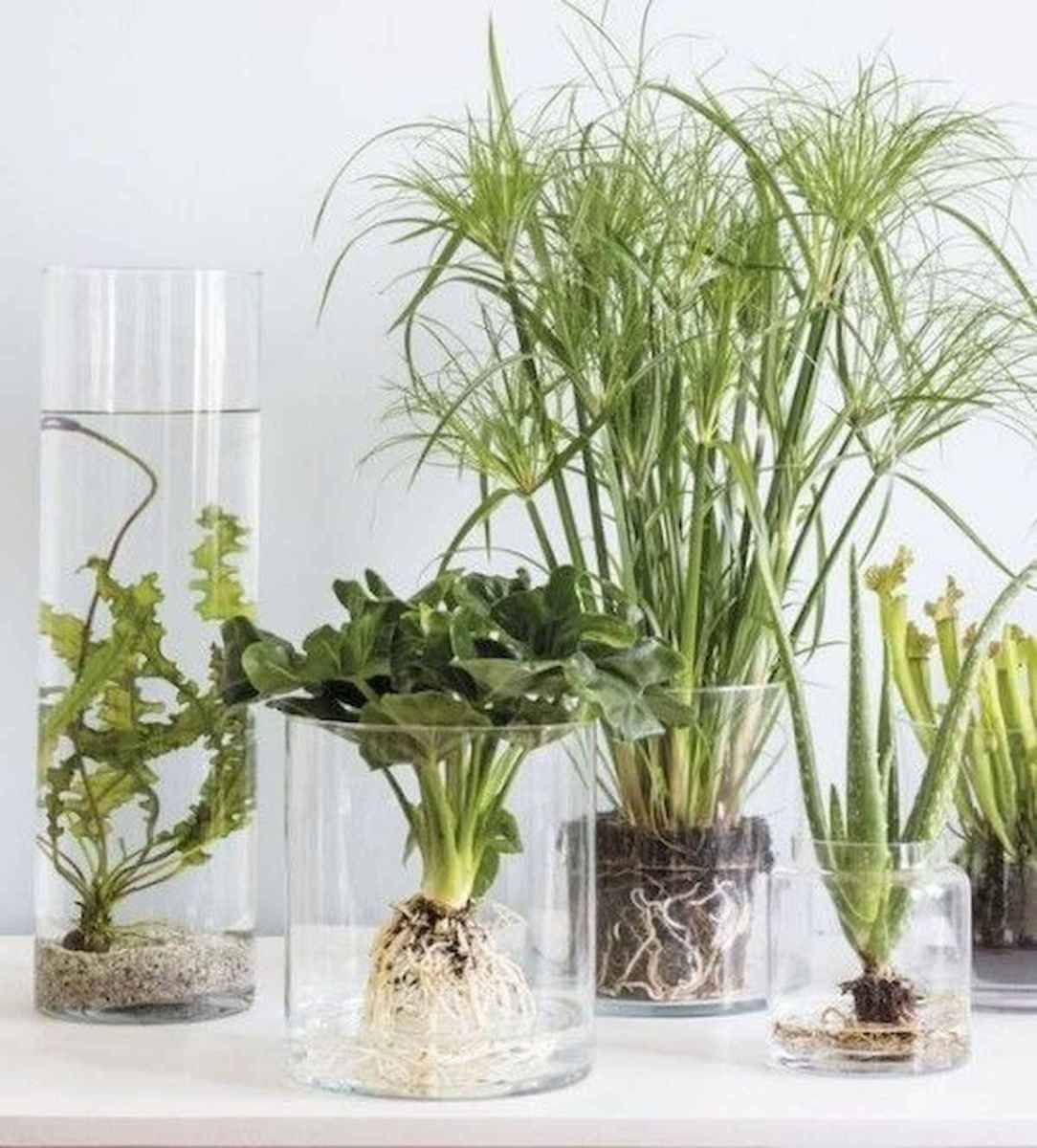 Easy To Try Hydroponic Gardening For Beginners Design Ideas And