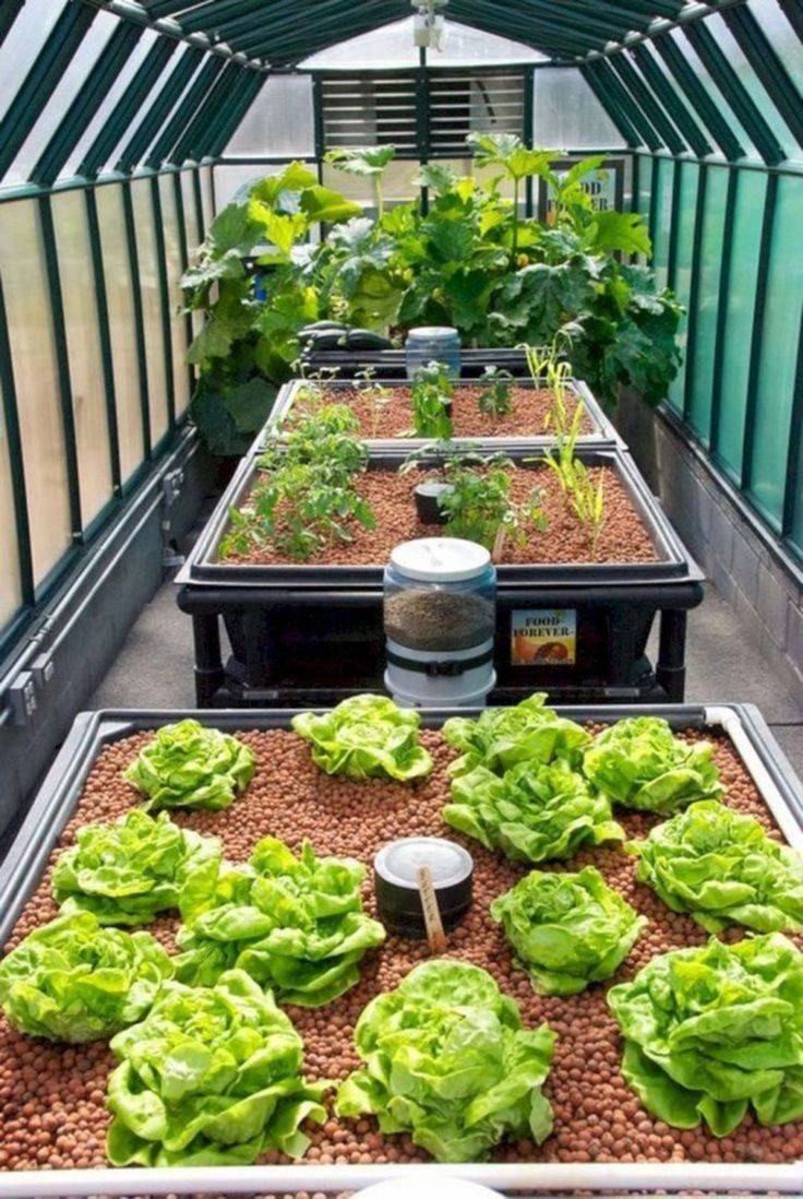 Favourite Vegetable Hydroponic Garden Ideas