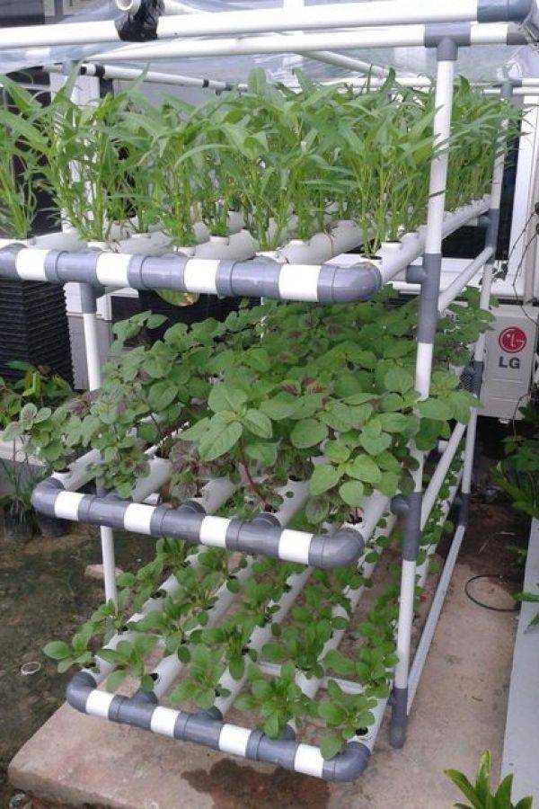 Hydroponic Gardening