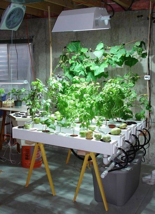 Wonderful To Try Hydroponic Gardening For Beginners Design Ideas And