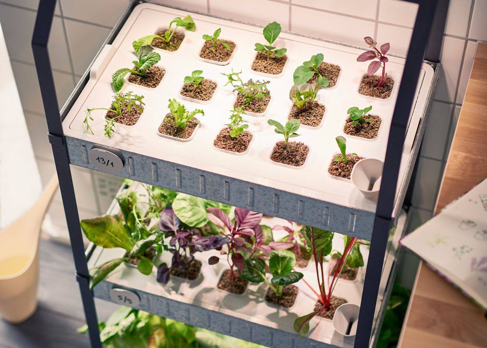 V Site Holes Plant Hydroponic System Water Culture Grow Kit