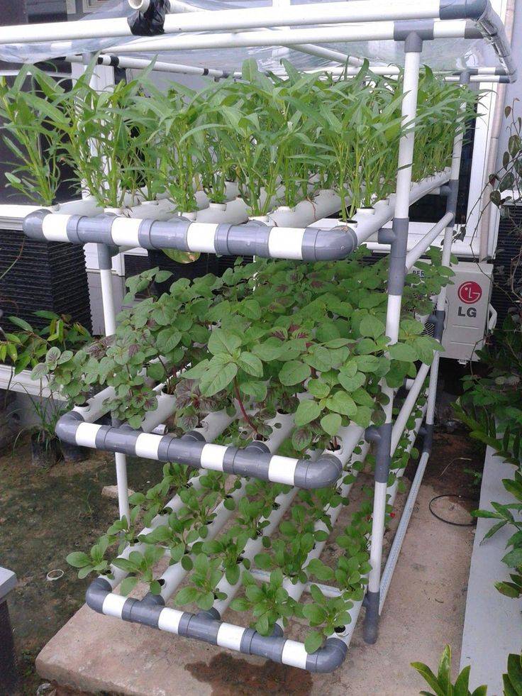 Simple Hydroponic Garden Ideas