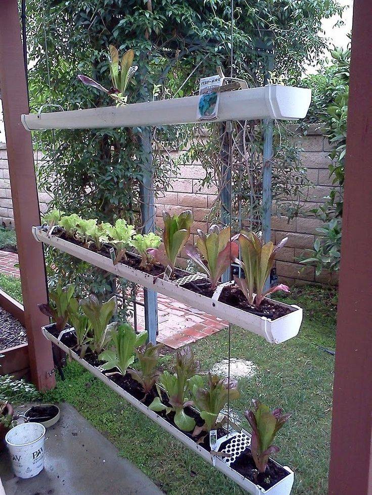 Hydroponics Garden