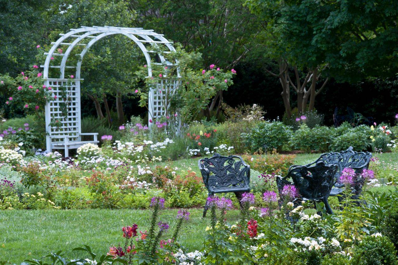 Creative Minimalist Summer Garden Trellis