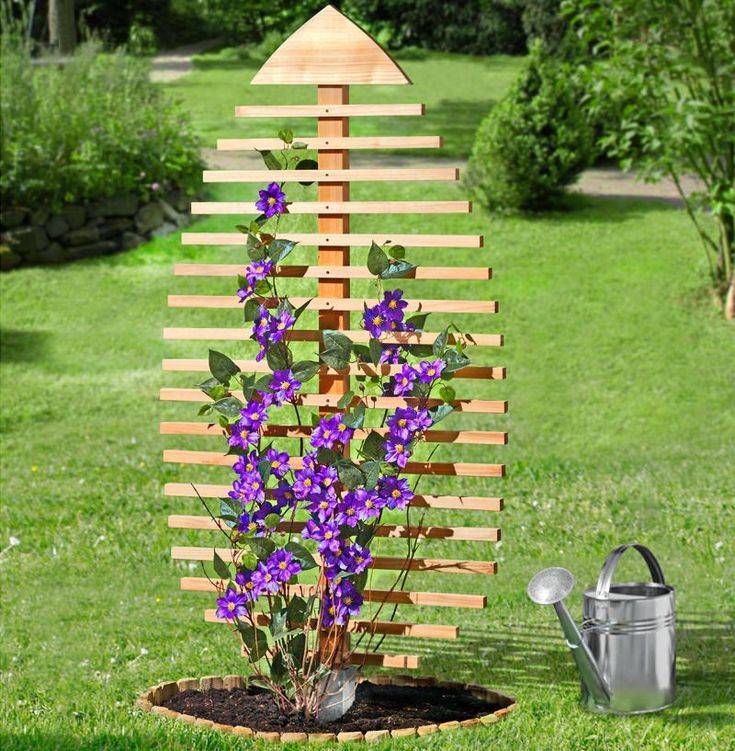 Great Summer Garden Ideas