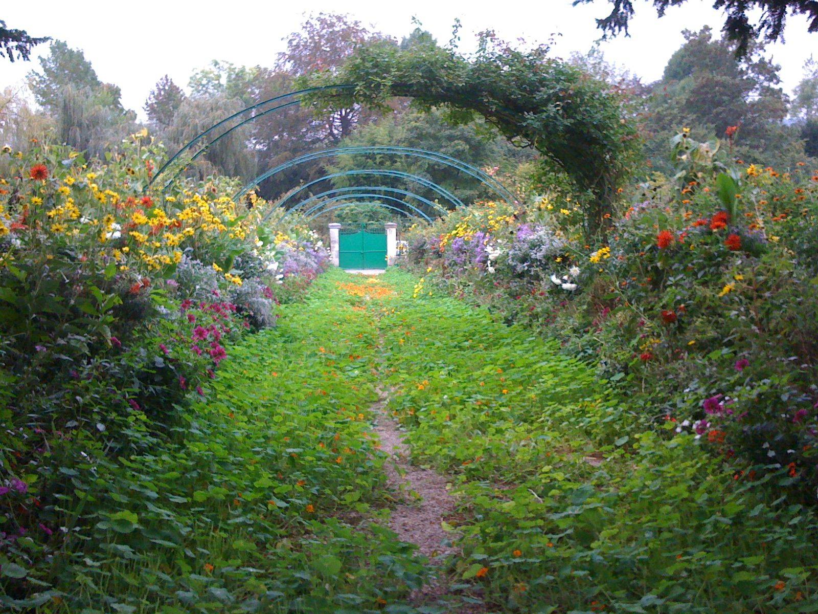 Jaime Schimek Hutchins