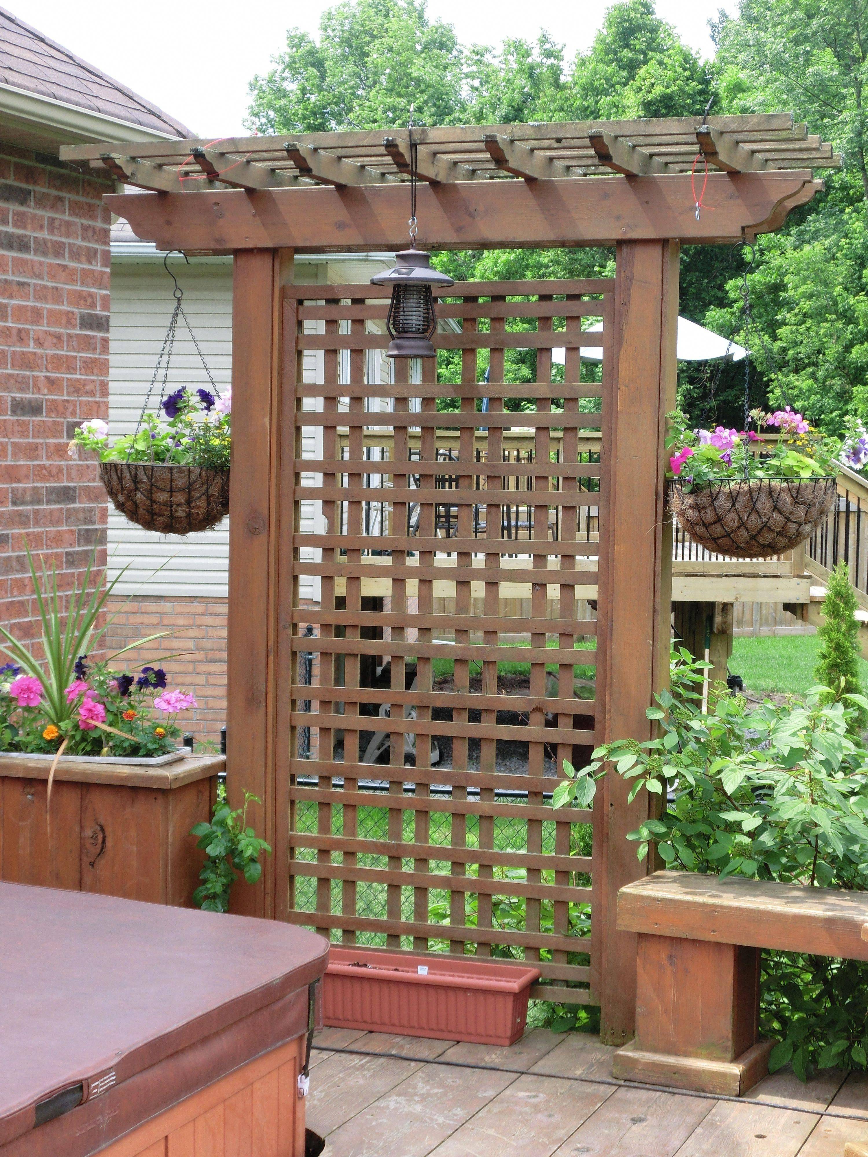 Summer Greenhouse Garden