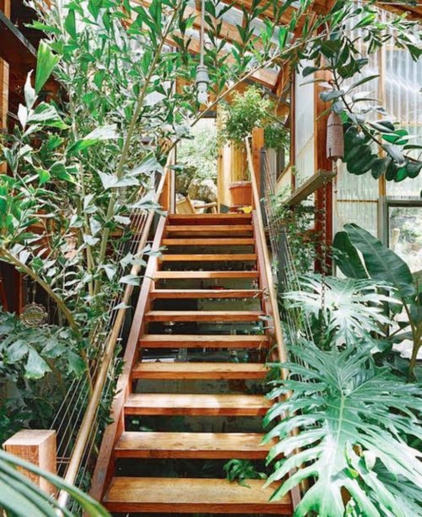 Beautiful Indoor Fairy Garden Ideas