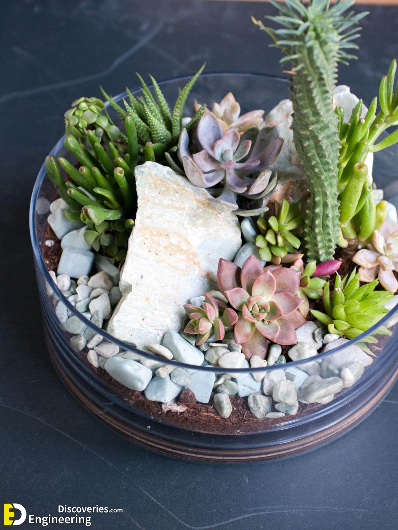 Awesome Succulent Front Yard Landscaping Ideas Magzhouse