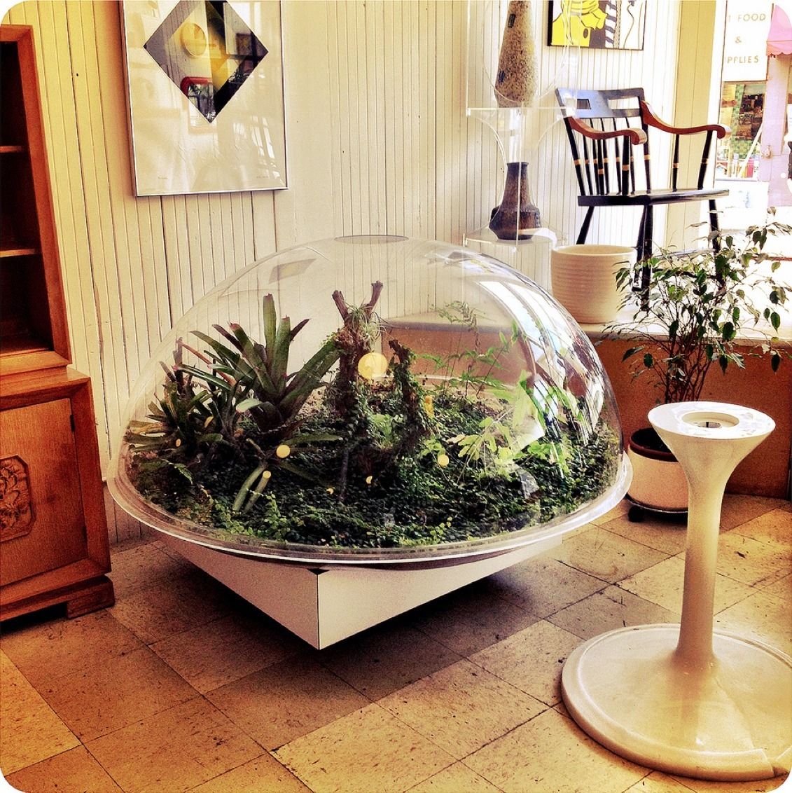 Georgeus Indoor Fairy Garden Ideas