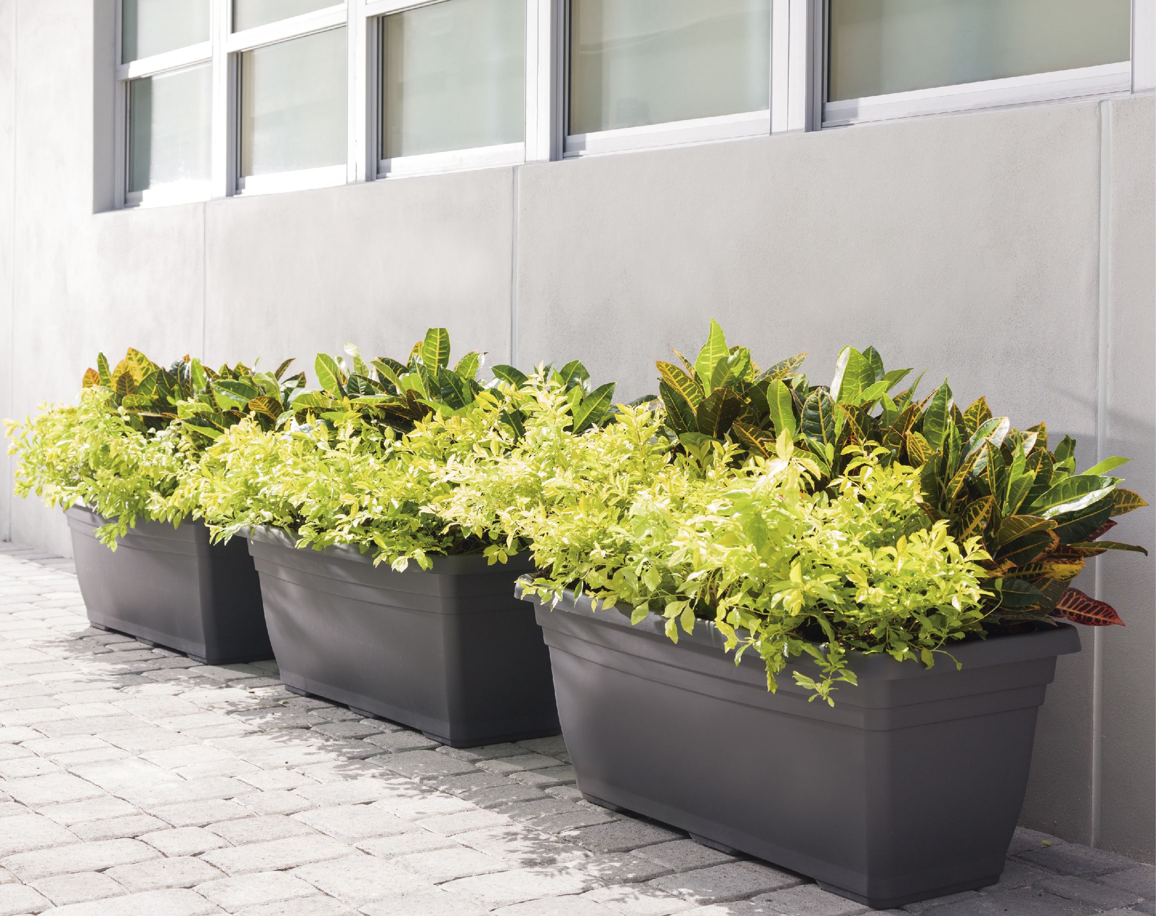Indoor Garden Ideas