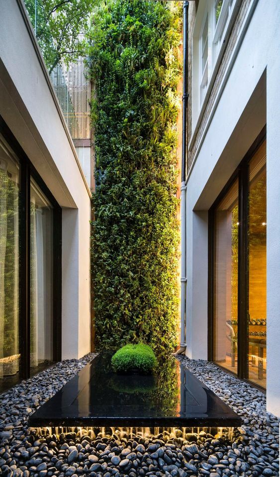 Indoor Gardening