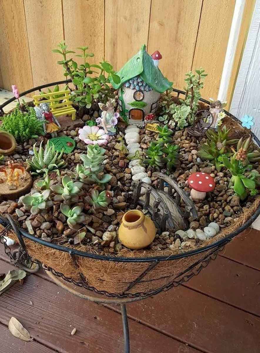 Best Indoor Fairy Garden Ideas