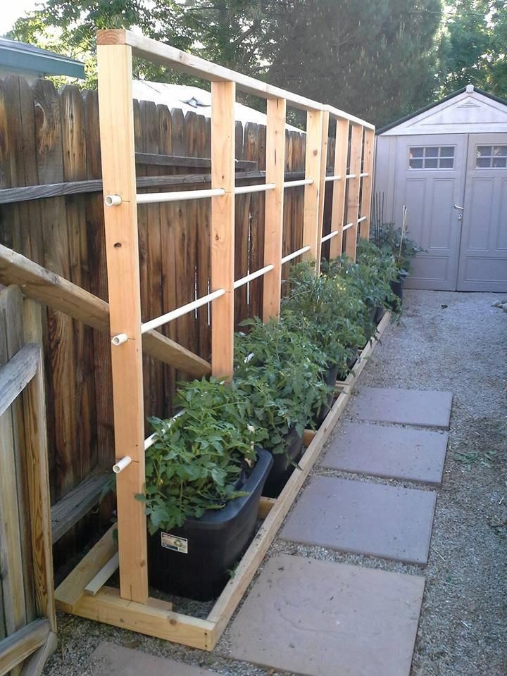 A Vertical Garden